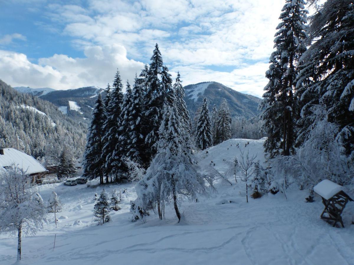 Apartament Landhaus Krappinger Bad Kleinkirchheim Zewnętrze zdjęcie